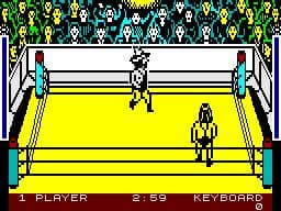 Rockn Wrestle