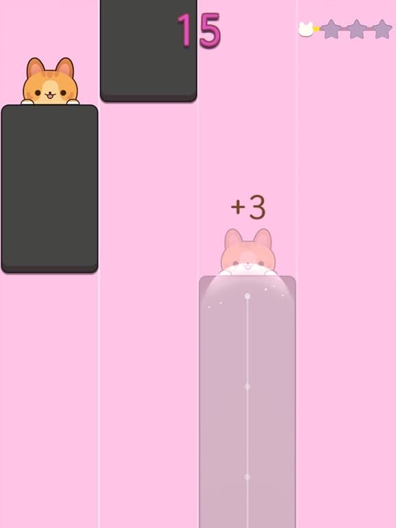 Cat Piano Design