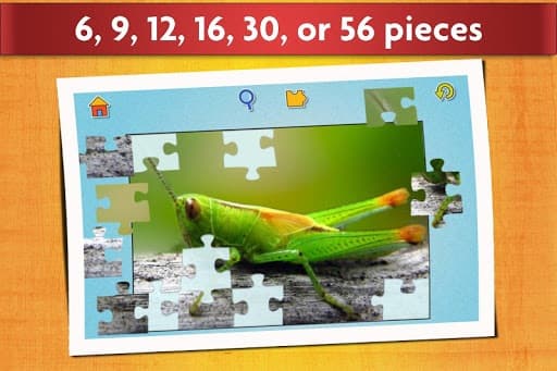 Insect Jigsaw Puzzles Game - For Kids & Adults 🐞 screenshot 4