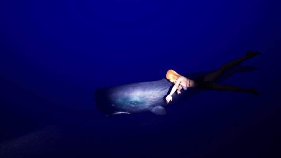 DeepSea Serenity: VR Underwater Trip screenshot 5