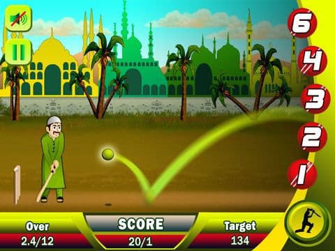 Ramzan Cricket Pro screenshot 4