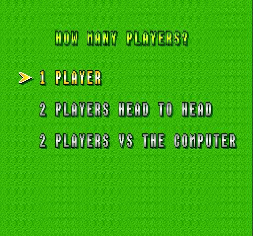 Super Play Action Football screenshot 5