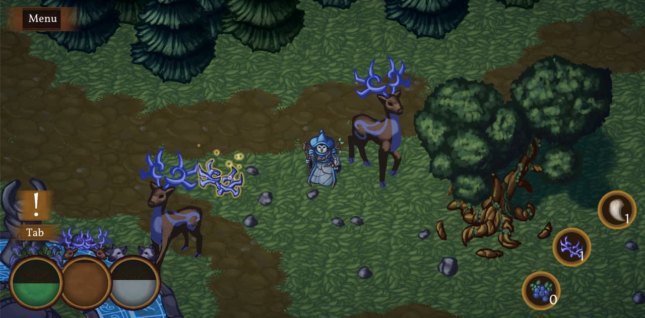 Witch of the Woods