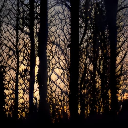 The Woods (itch) (Just_A_Student)