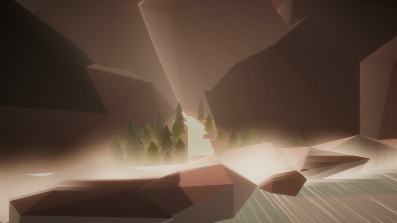 Forest Environment