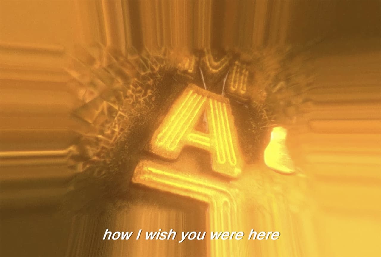 wish you were here (upisfree)