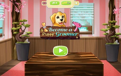 Become a Puppies Groomer