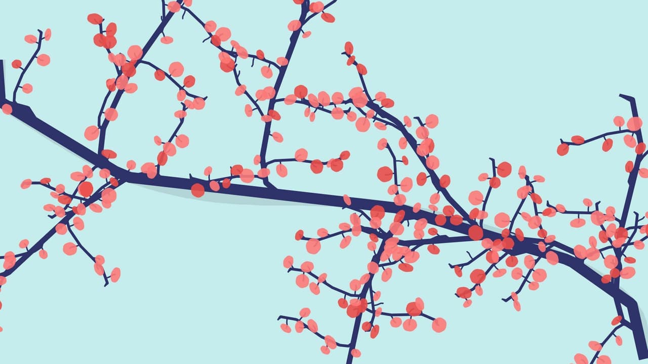 Sakura Branch Generator screenshot 4
