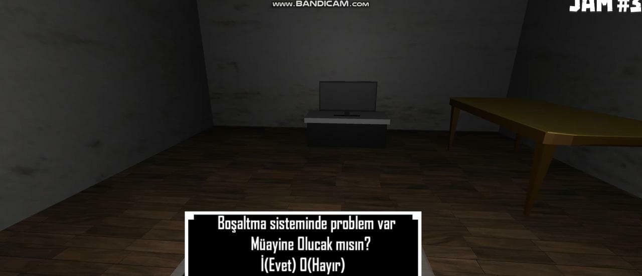 Amatör Dedektif