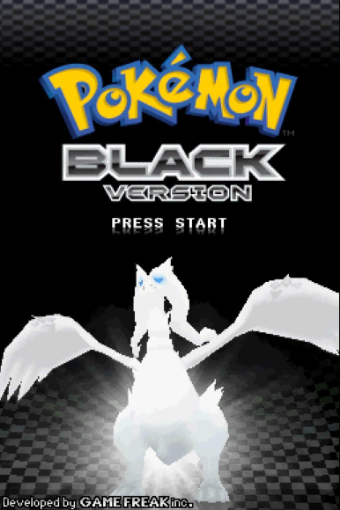 Pokémon Black, White screenshot 4