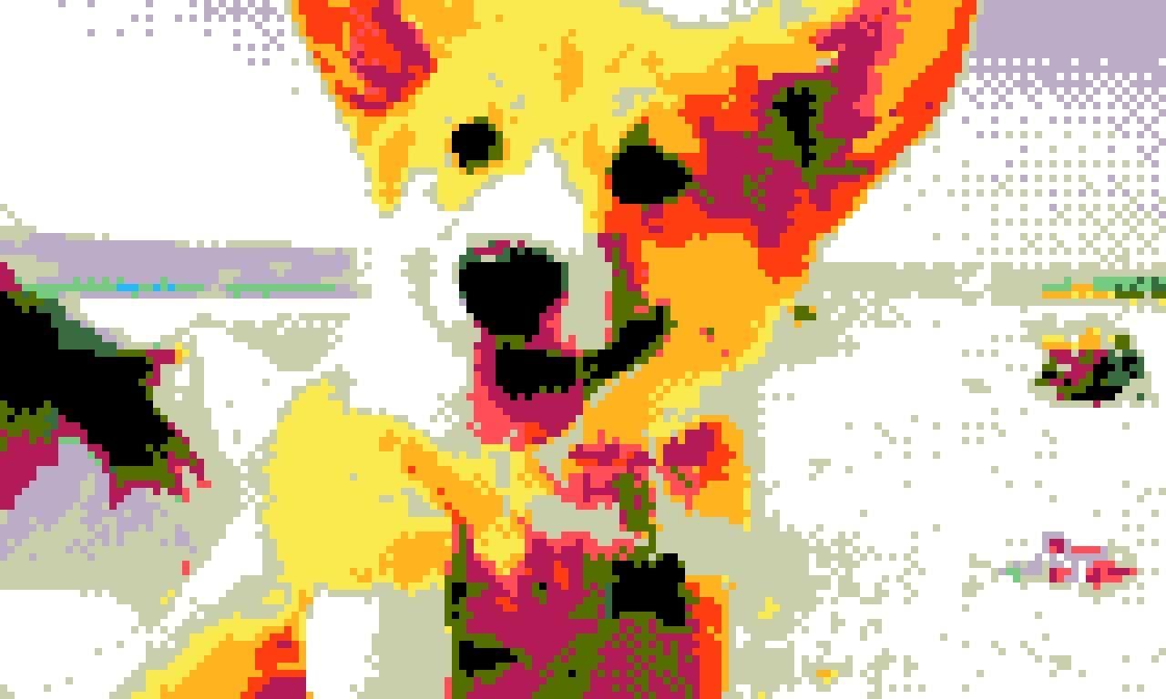 CORGI SUMMER SCHOOL: SUPREME COURT EDITION