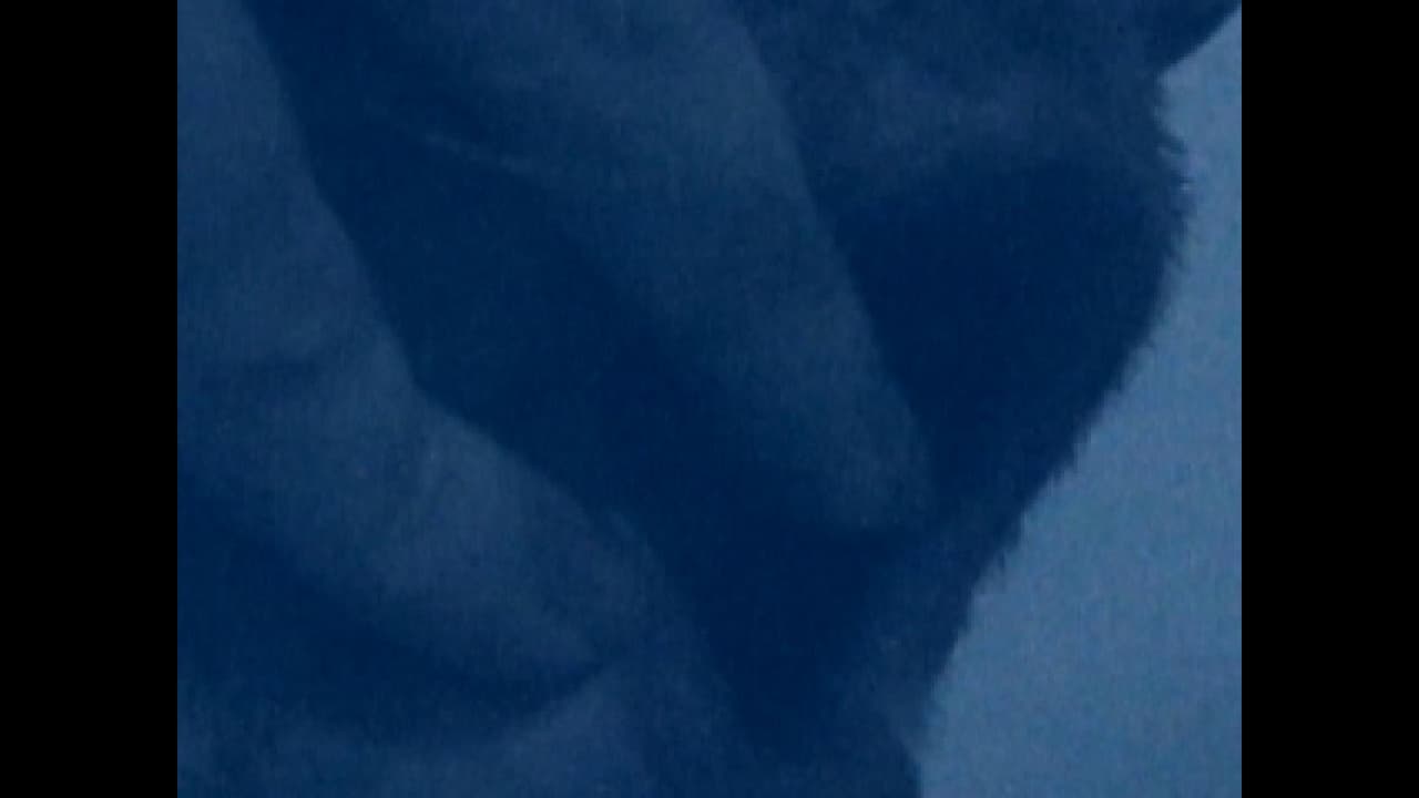 HORSE screenshot 5