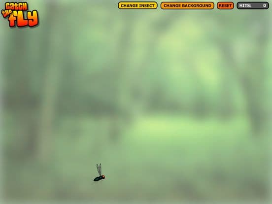 Catch the Fly Cat Game screenshot 5