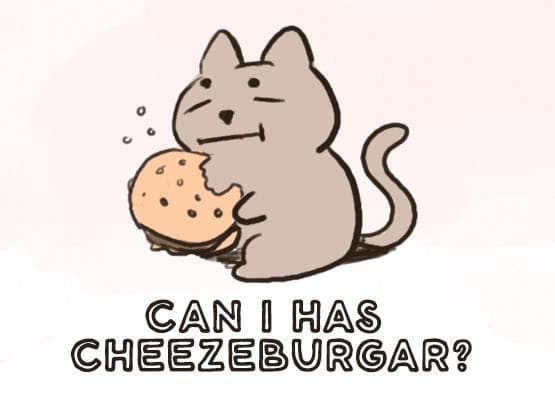 can i has cheeseburgER