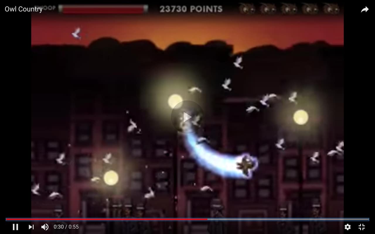 Owl Country screenshot 3
