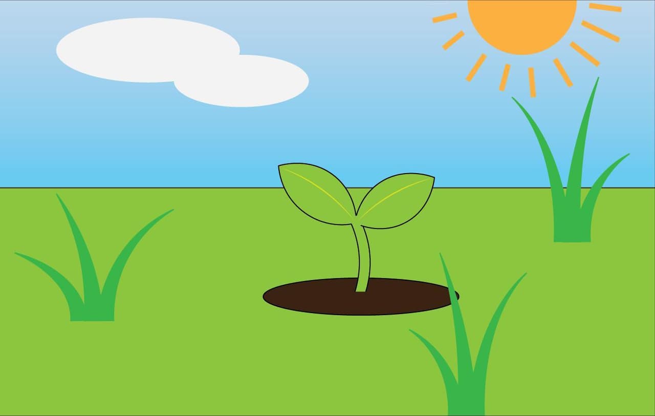 Sapling Simulator