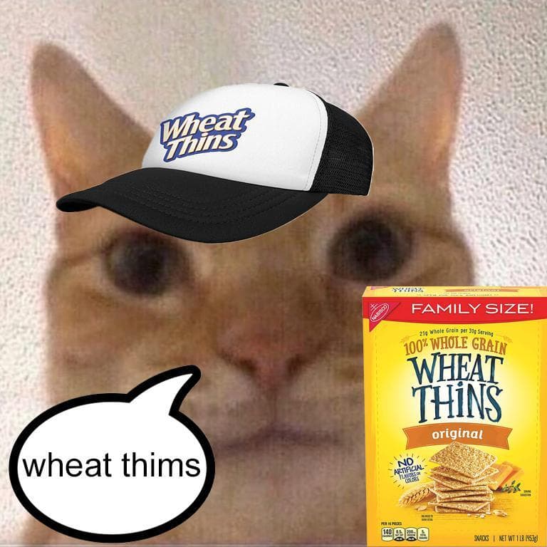 cats with snacks and a car screenshot 6