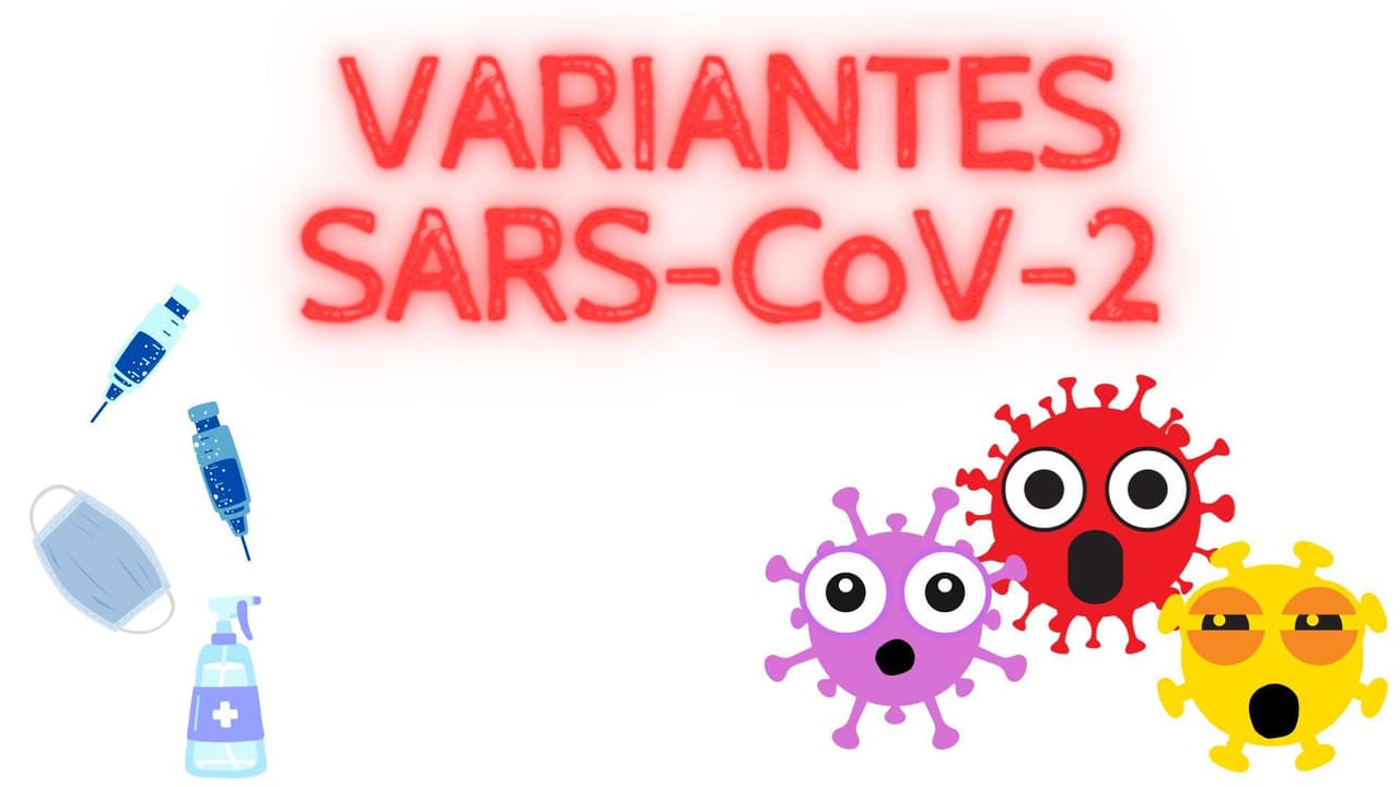 Variantes do novo coronavírus