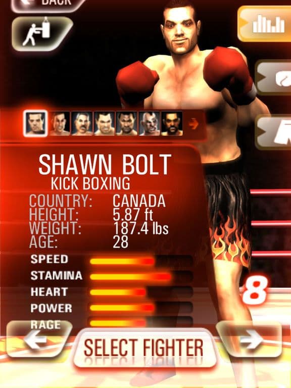 Iron Fist Boxing Lite