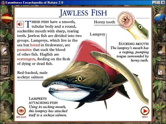 DK Eyewitness: Encyclopedia of Nature 2.0 screenshot 5