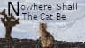 Nowhere Shall the Cat Be