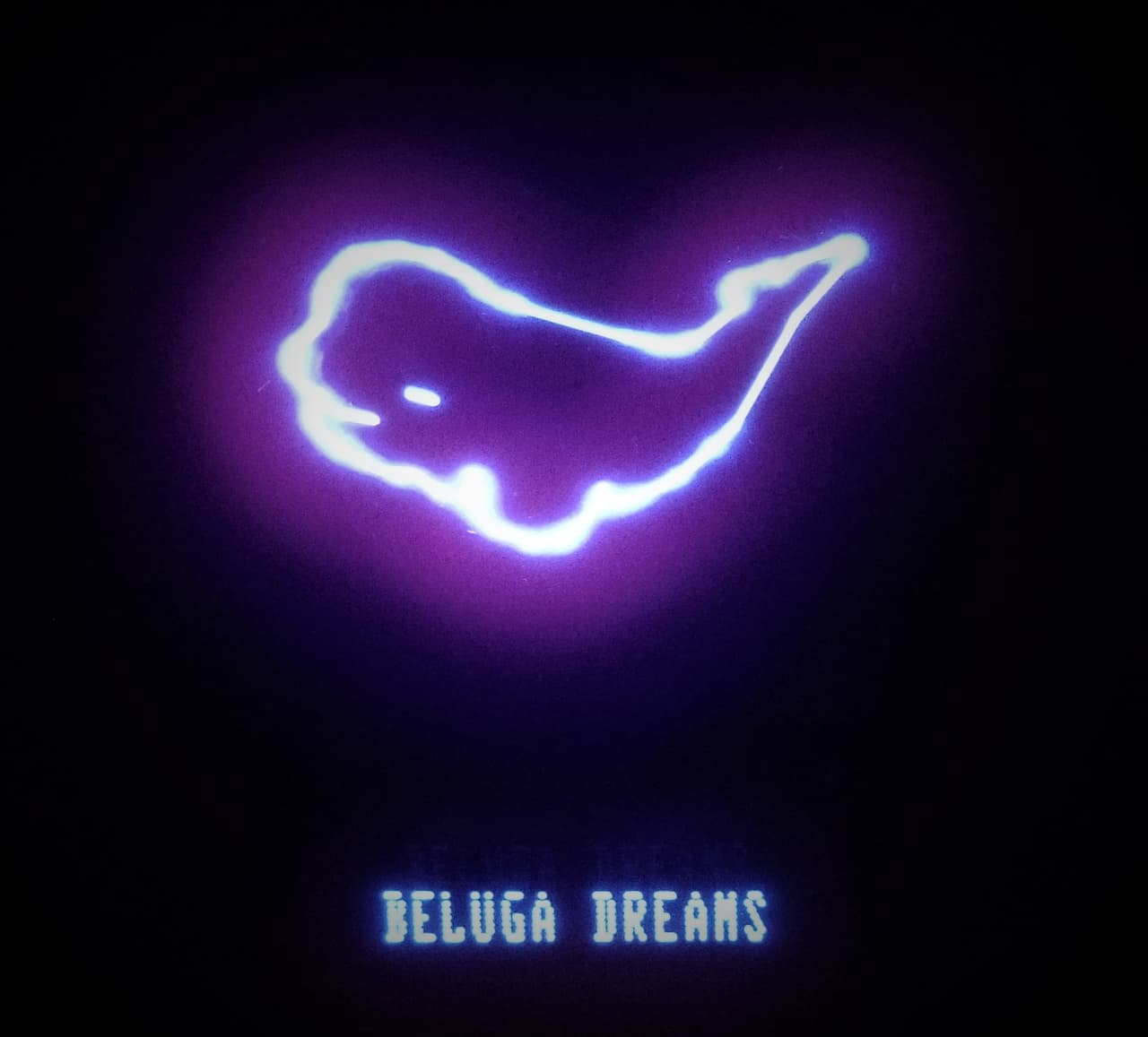 Beluga Dreams screenshot 2