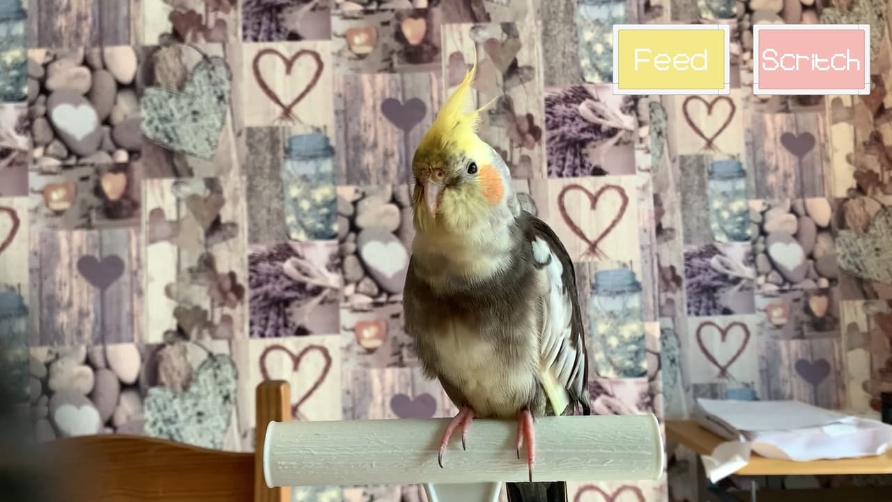 Tiels