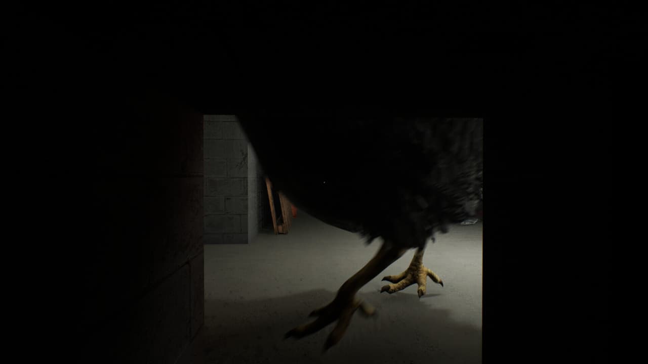 Chicken Feet