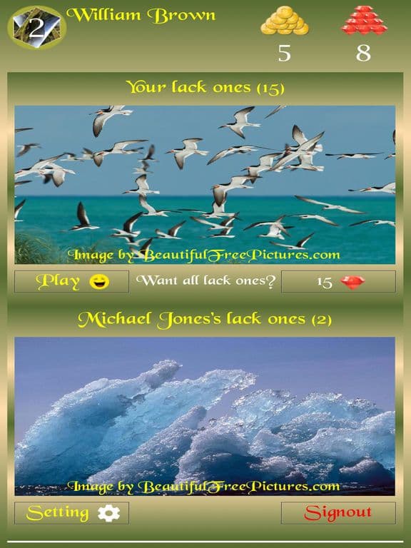 Beautiful Picture Puzzle Z screenshot 2