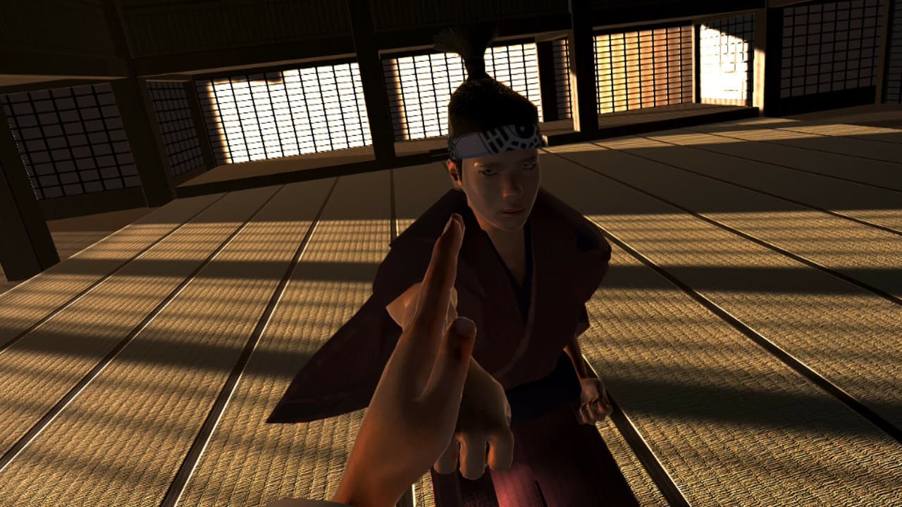 Dragon Fist: VR Kung Fu screenshot 3