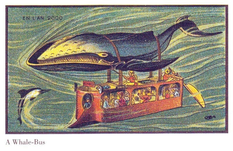Nugget: Whalemarine Rescue screenshot 4