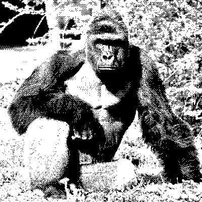 Harambe Respect Simulator *TRIGGER WARNING DAT BOI*