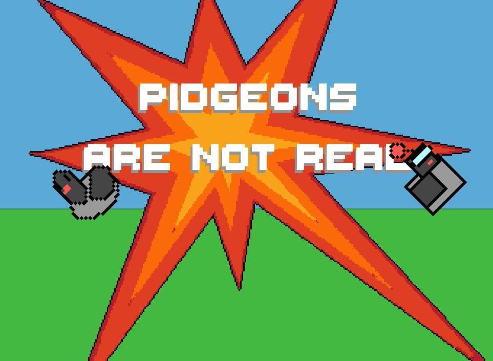 Pidgeons Are not Real