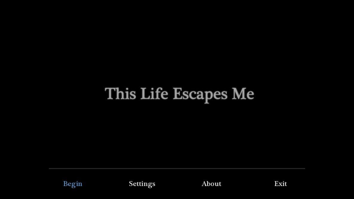 This Life Escapes Me screenshot 2