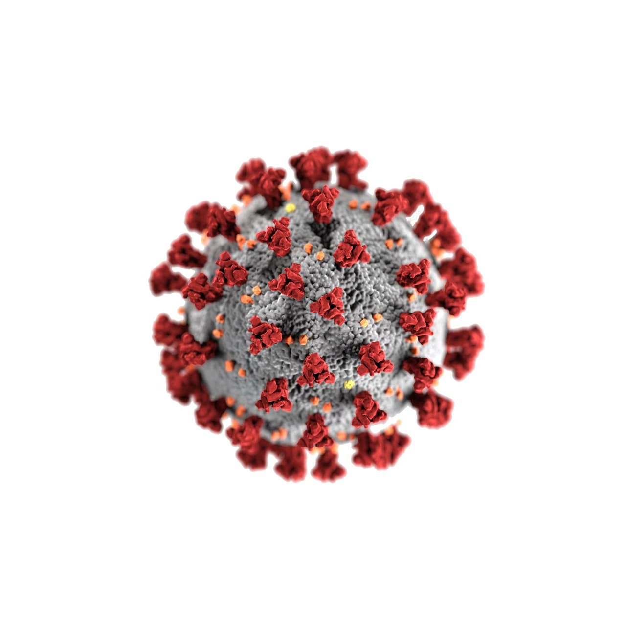 Pandemic (mohdt)