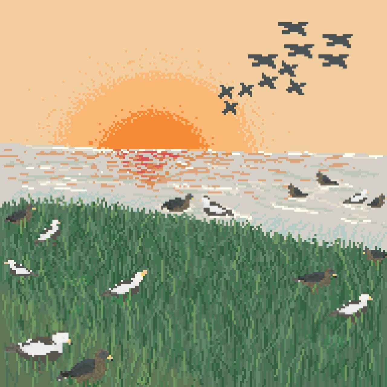 The Tale of Ducks