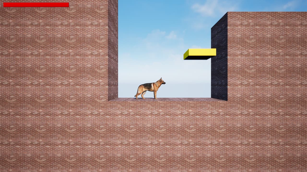 Dog Adventure