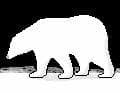 Polar (GreenCode20)