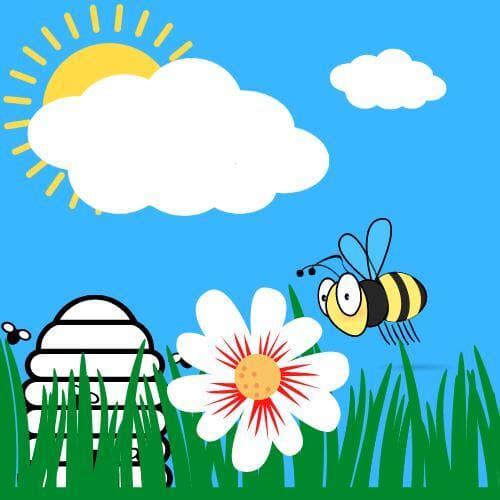 to the beehive