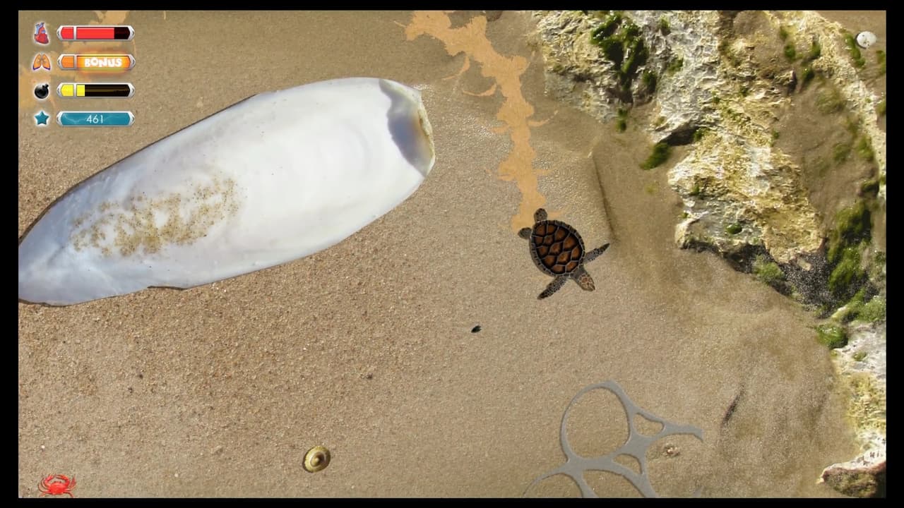 Turtle Quest screenshot 4