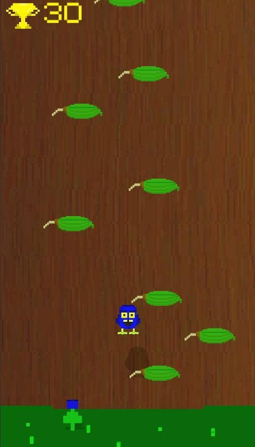 BirdOut screenshot 3