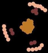 Particle Life Simulator screenshot 5