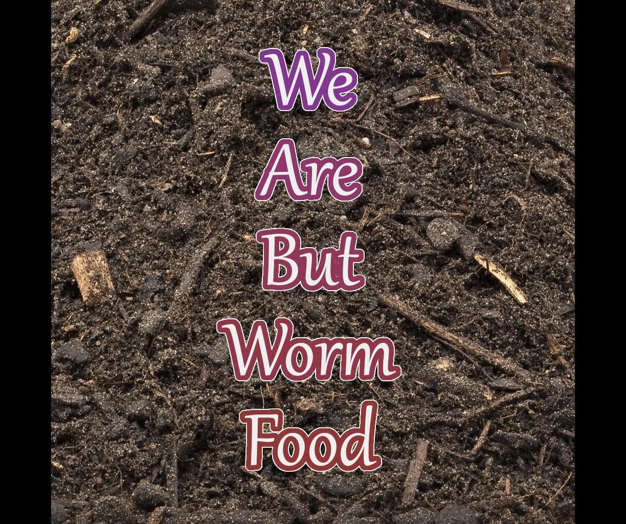 We Are But Worm Food: A One-Word RPG