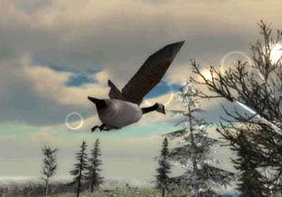 North American Hunting Extravaganza