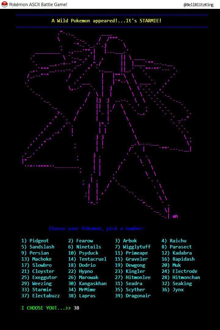 PKMN CMD Battle Game!: ASCII Version screenshot 4