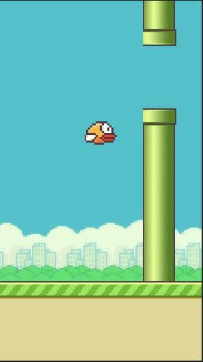 CrazyBird