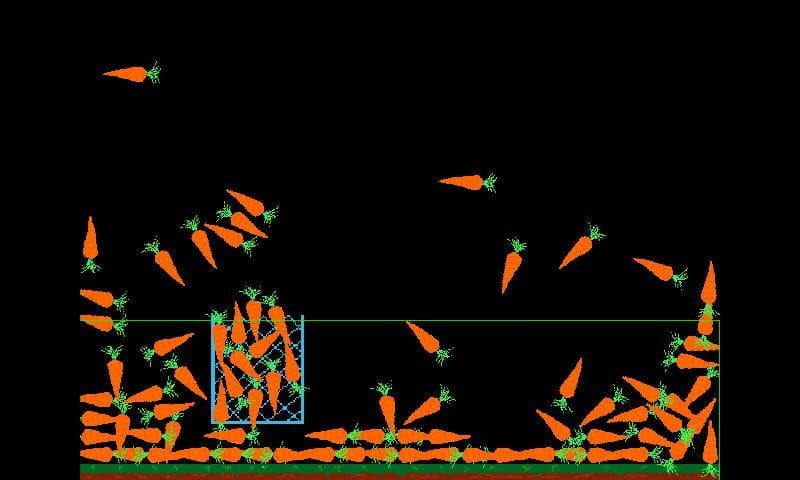 CarrotFall