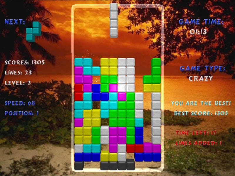 Tetris Arena screenshot 3