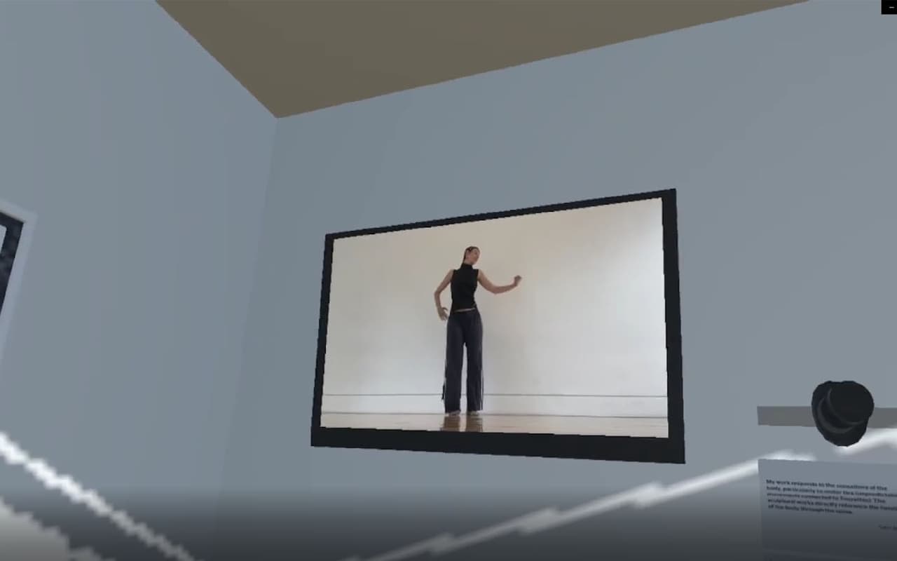 Making Solid: Unpredictable Bodies screenshot 2