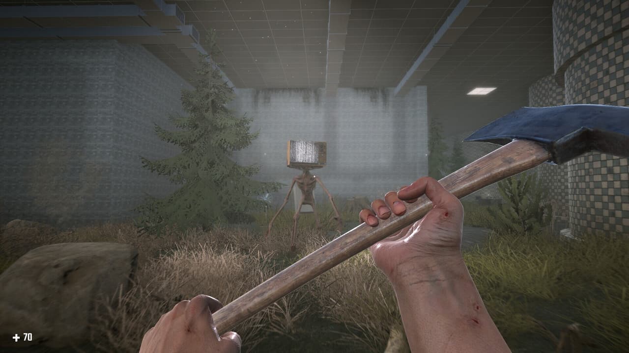 SURVIVAL IN THE BACKROOMS